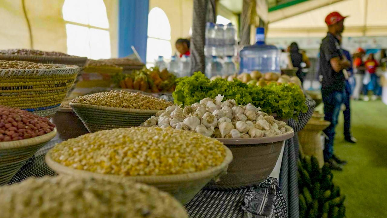 Feira & Exposição