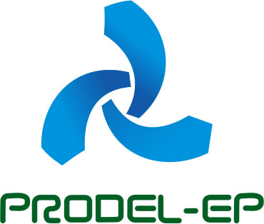 Empresa Nacional de Produção de Electricidade